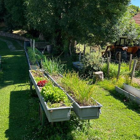 Casa Rural Roncesvalles Espinal-Auzperri Εξωτερικό φωτογραφία