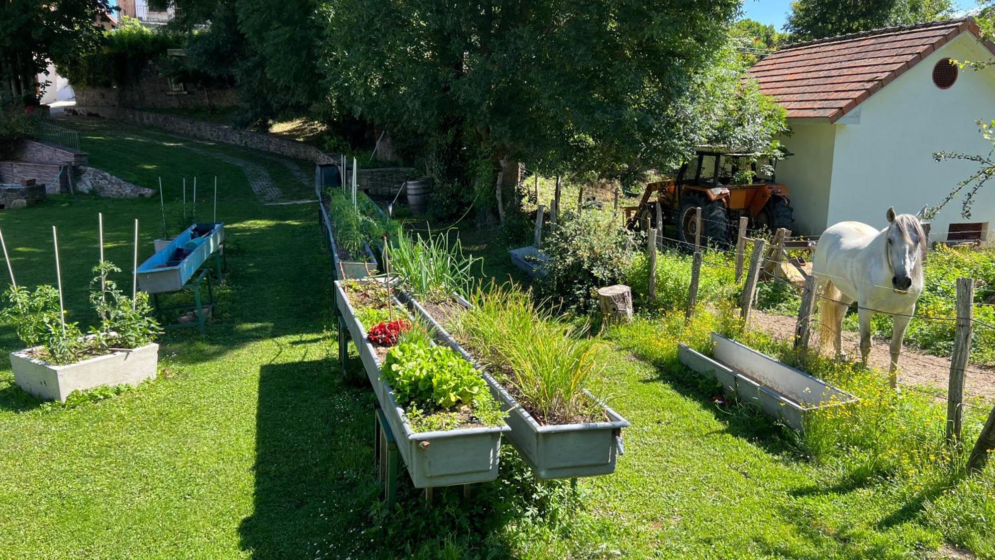 Casa Rural Roncesvalles Espinal-Auzperri Εξωτερικό φωτογραφία
